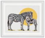 Safari Zebra