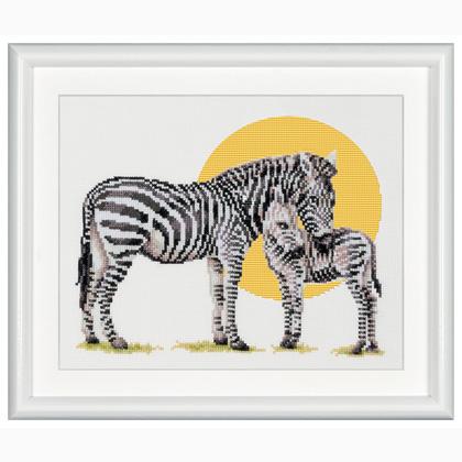 Safari Zebra