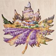 Campos de lavanda