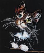 Gatito esponjoso
