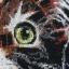 Gatito esponjoso