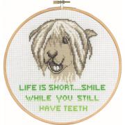 Life is short... Smile while you still have teeth