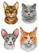 Cats (4)