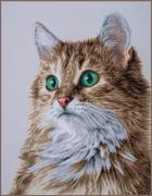 The purrfect stare - Special Edition