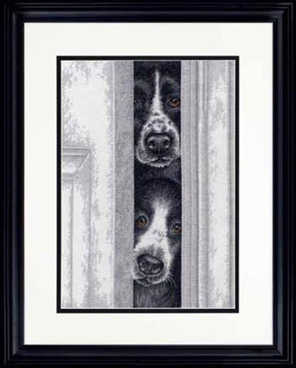 Cachorros mirando