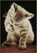 Gatito