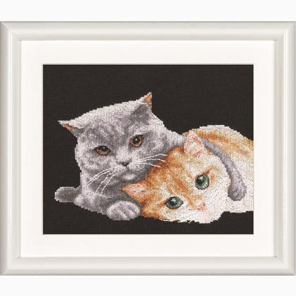 Cat Friends - Negro