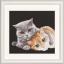 Cat Friends - Negro