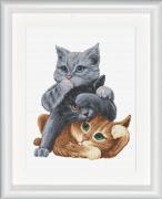 Hear no evil, See no evil, Speak no evil Cats
