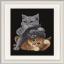Hear no evil, See no evil, Speak no evil Cats - Negro