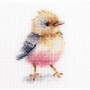 Small birds - Chik!