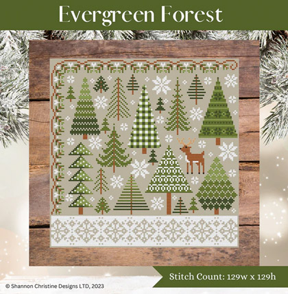 Evergreen Forest