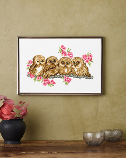 Owls