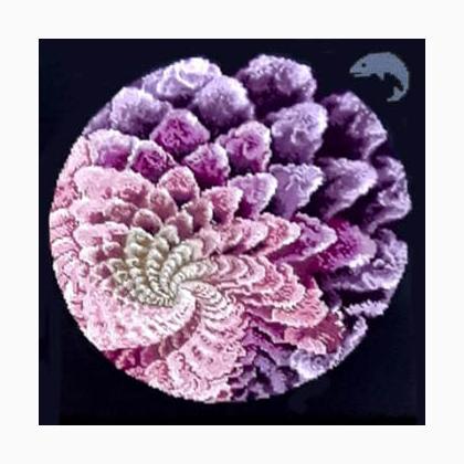 Water Fractal