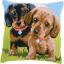 Almohada: Perros