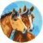 Dos Caballos