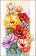 Amapolas