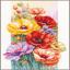 Amapolas