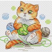 Cute Cat - lindo gato
