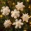 Kit de decoración de fieltro - Pearl Snowflakes