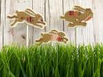 Bunny Thieves