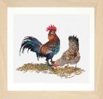 Rooster and Hen - Aida