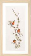 Robins - Aida
