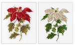 Poinsetia - Aida