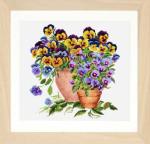 Potted Pansies