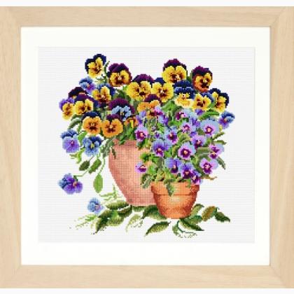 Potted Pansies