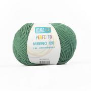 Perfetto Merino 120 - 00500 - Verde Salvia