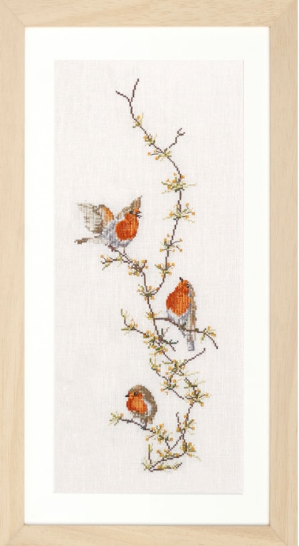 Robins