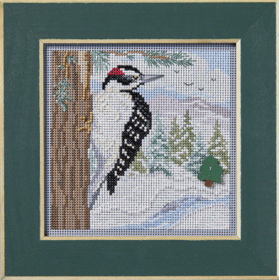 Winter Series - Winter Woodpecker