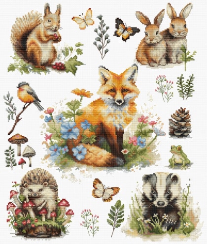 Forest Animals
