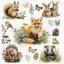Forest Animals
