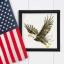 Flight Of Freedom