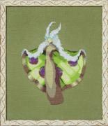The Dark Forest - Miss Furry Moth