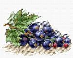Ripe Currant