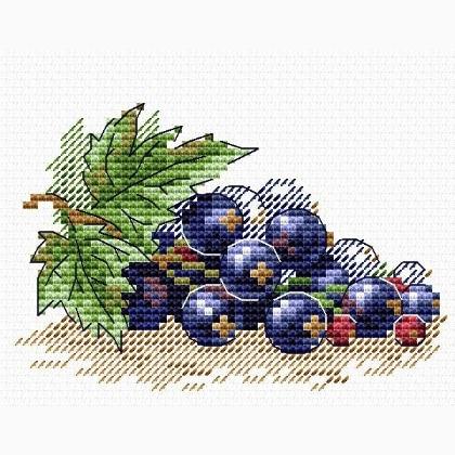 Ripe Currant