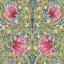 Pimpernel