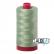 12wt/Large #2840 - Loden Green