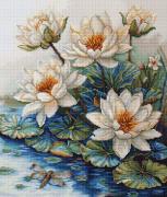 Lake With Water Lilies