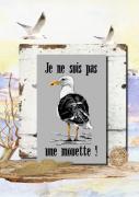 Je ne suis pas une mouette !