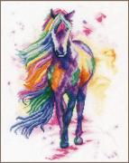 Caminar en colores