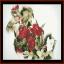 Charles Demuth - Rosas