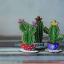 Cactus columnares - Púrpura