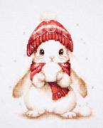 Magia de nieve