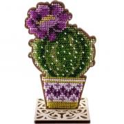 Cactus redondo