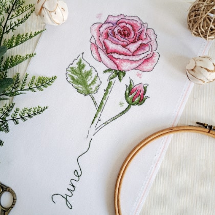 June - Rose