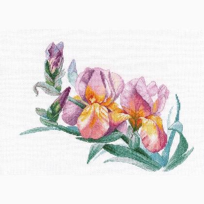 Golden Irises (Nina Tyunina)